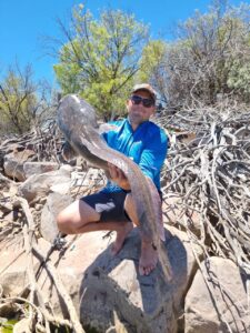 WhatsApp Image 2023-12-16 at 18.31.39_d1c0c3af